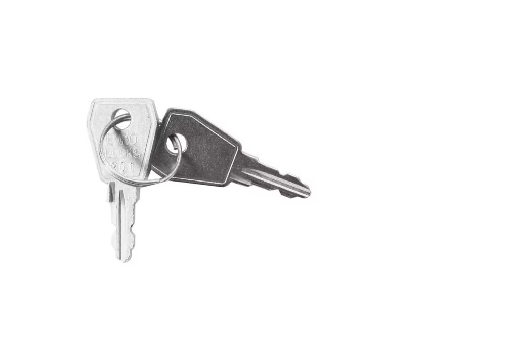 Esser 769915 Schlüssel 901 2er-Pack